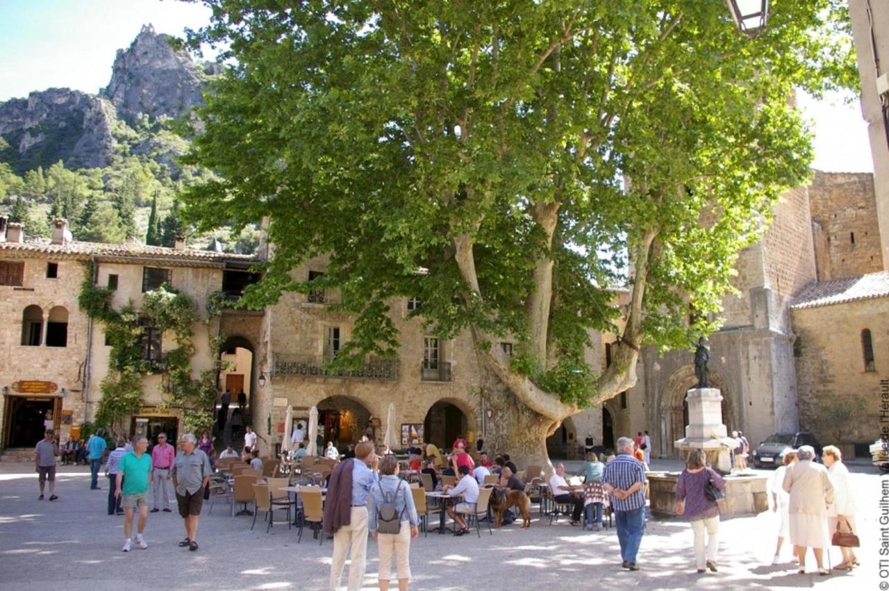 "Le Patio"-Meuble De Tourisme 3 Etoiles -Residence "Les Logis De Beziers"-Garage Optionnel-Coeur De Ville-Plages A 16Km ! المظهر الخارجي الصورة