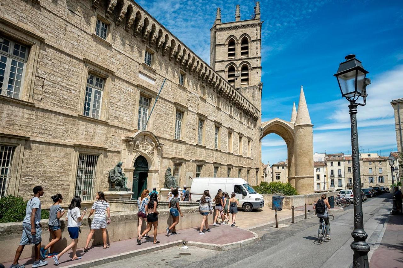 "Le Patio"-Meuble De Tourisme 3 Etoiles -Residence "Les Logis De Beziers"-Garage Optionnel-Coeur De Ville-Plages A 16Km ! المظهر الخارجي الصورة